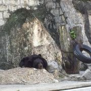 澳門二龍喉公園