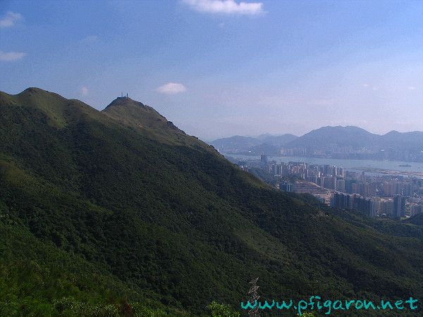 飛鵝山