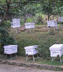 寶生園養蜂場