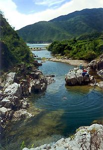 雙鹿石澗