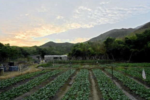 基督教以琳扶植培訓中心有機農場