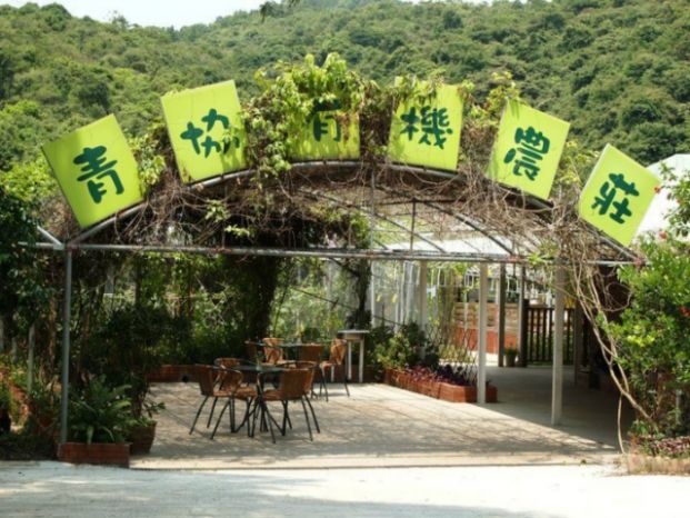 香港青年協會有機農莊