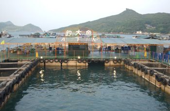 香港活動農莊(旅遊)有限公司-東龍島釣大魚