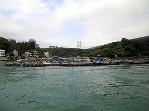 馬灣魚類養殖區 (漁排)