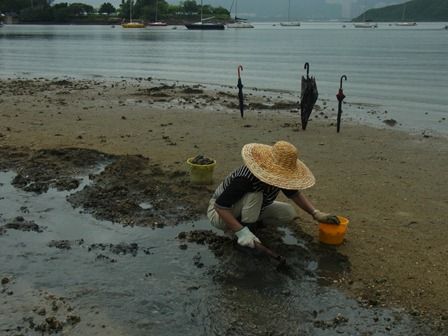 龍尾灘