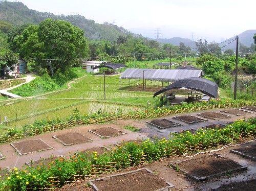 綠田園基金有機農場