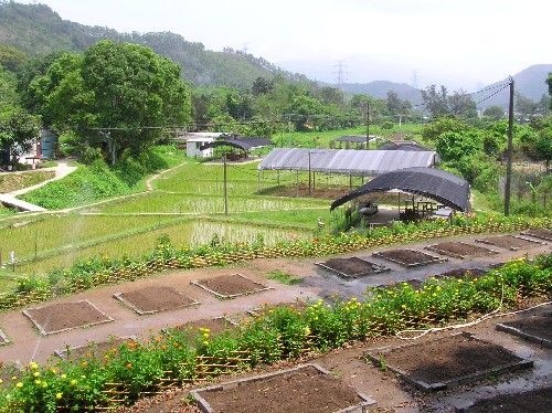 綠田園基金有機農場