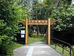 香港仔水塘及香港仔郊野公園