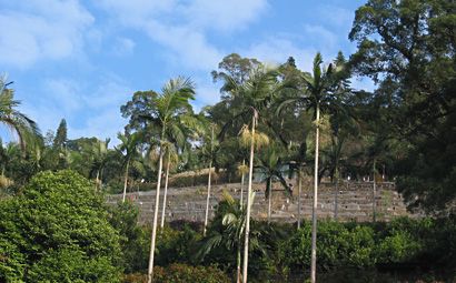 嘉道理農場暨植物園