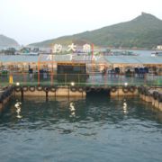 香港活動農莊(旅遊)有限公司-東龍島釣大魚