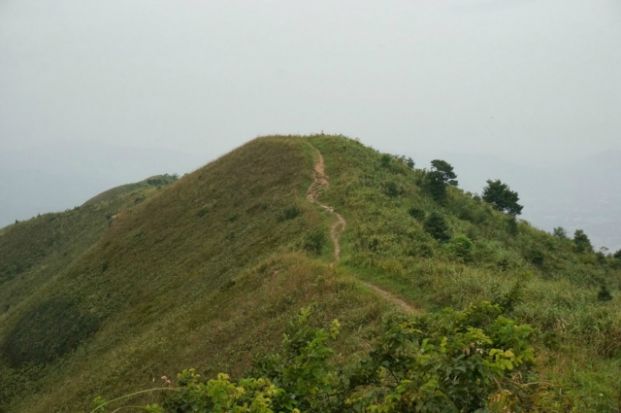 大刀屻