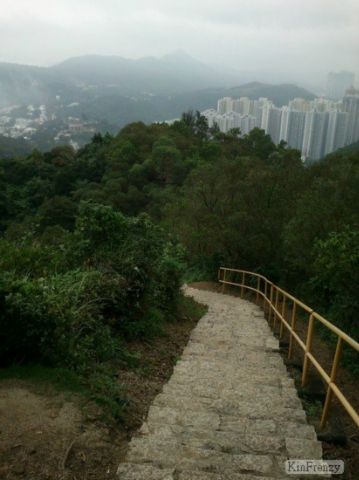 鴨仔山 Duckling Hill (魷魚灣山)