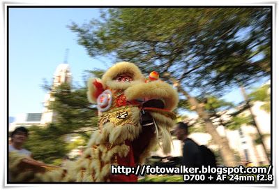 香港龍獅節 (每年的1月1日)