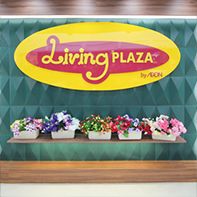 Living PLAZA (旺角店)