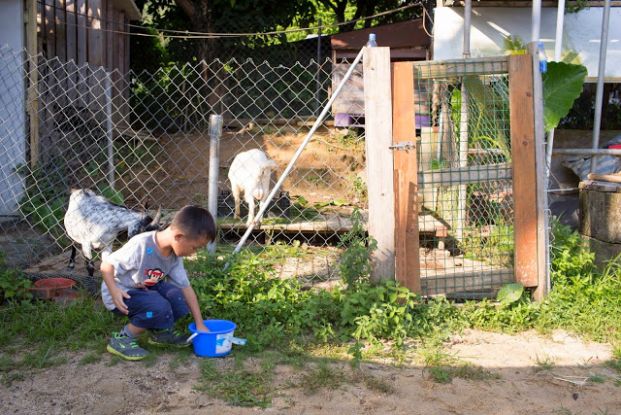 開心農場 Happy Farm