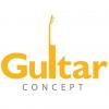 Guitar Concept