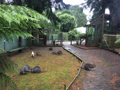 野生動物保護區