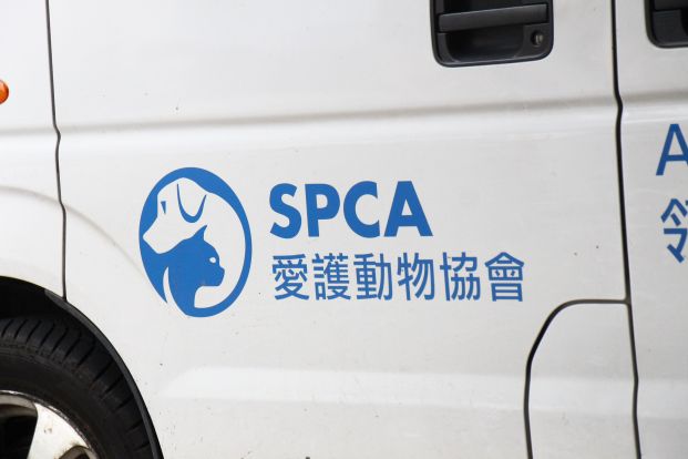 香港愛護動物協會