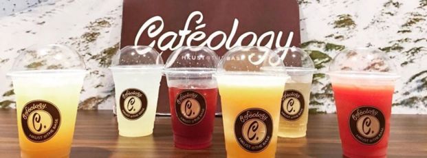 Cafeology