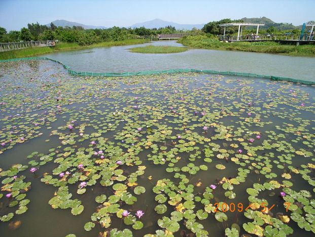 香港濕地公園