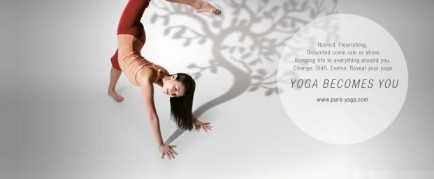 Pure Yoga (淺水灣 THE PULSE 店)
