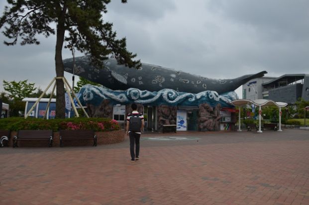蔚山鯨魚博物館 (韓國)