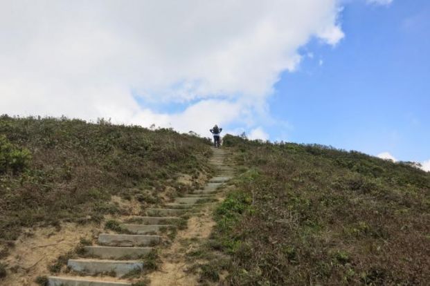 紫羅蘭山徑 (大潭郊遊徑)