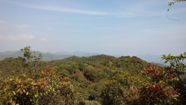 麥理浩徑 Maclehose Trail