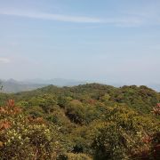 麥理浩徑 Maclehose Trail