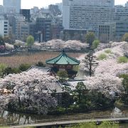 上野恩賜公園 (東京)