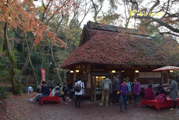 水谷茶室(奈良)