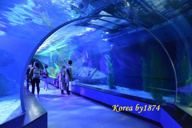 釜山水族館
